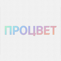 Выборочное фольгирование формата А3 голографической фольгой (не требует изготовления клише)