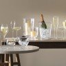 Набор из 2 больших бокалов для просекко Wine