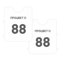 Спортивный номер «Манишка» с полноцветной печатью