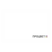 Магнитная фоторамка 90х120 мм фигурная