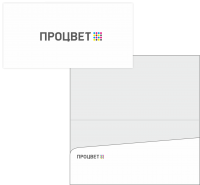 Картонный конверт 110х220 мм с одним карманом, 4+0