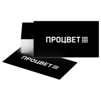 Визитки 1+1 (шелкография, по одному цвету с каждой стороны)