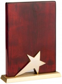 Наградная стела «Звездный чaс»