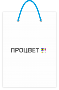 Пакет бумажный 150х190х60 мм, полноцветная печать 4+0