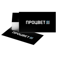 Визитки 2+2 (шелкография, по два цвета с каждой стороны)