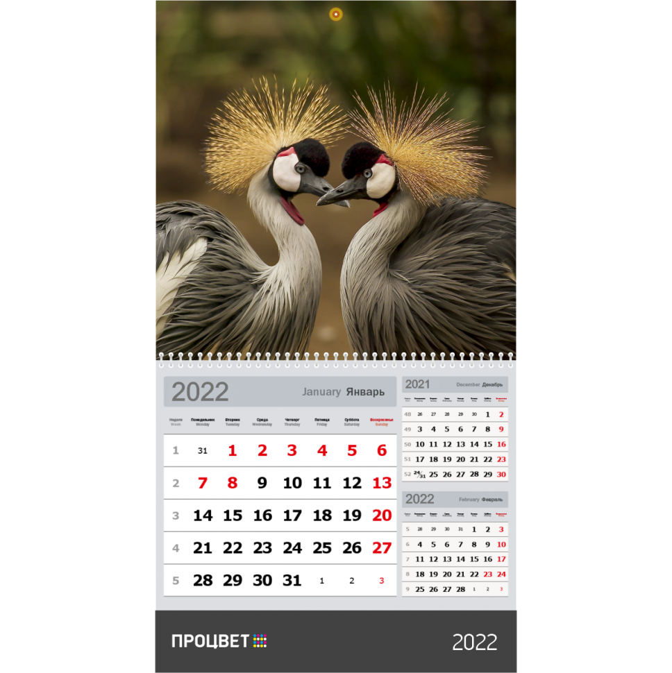 Календарь МОНО 3-в-1 с кашированным шпигелем и подложкой | Процвет